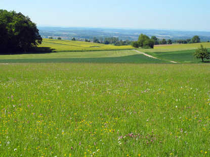 Kraichgaublick