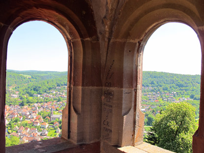 Blick vom Palas auf Neckargerach