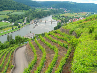 Bereits 1.500 Jahren wird auf Steillagen bei der Burg Hornberg Weinanbau betrieben. Burg Hornberg gilt als das zweitlteste noch existierende Weingut der Welt.
