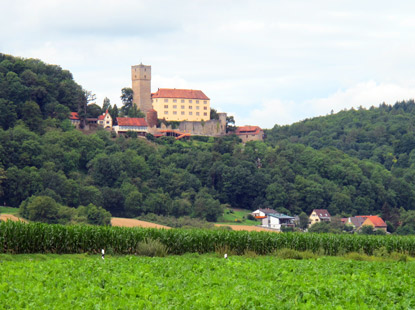 Die Burg Guttenberg - gegenber von Gundelsheim - wurde in ihrer 800-jhrigen Geschichte niemals zerstrt.