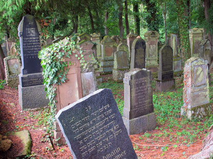 Der Jdische Friedhof bei Heinsheim war ein Verbandsfriedhof fr die umliegenden 25 Gemeinden. Er wurde im 16 Jh. angelegt. Die letzte Bestattung erfolgte 1937