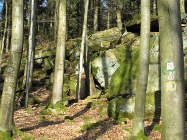 Das Ebersberger-Felsenmeer im Odenwald ist nicht so gewaltig wie das Felsenmeer bei Reichenbach