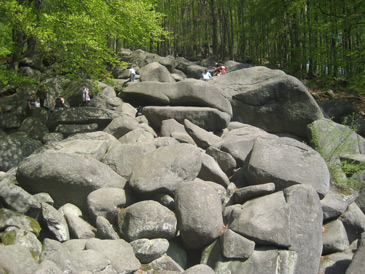 Nibelungensteig: Blick auf die gewaltigen Gesteinsbrocken des Felsenmeeres im Odenwald bei dem Ort Reichenbach.