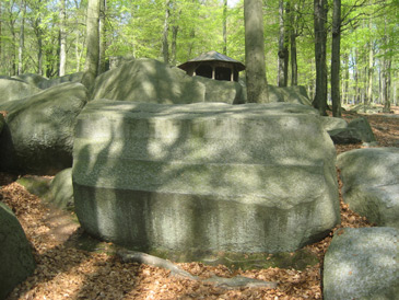 Nibelungensteig: Der Altarstein im Felsenmeer ist ein Werkstck, das die Rmer nicht fertig gestellt haben. Bearbeitungsspuren sind zu erkennen.