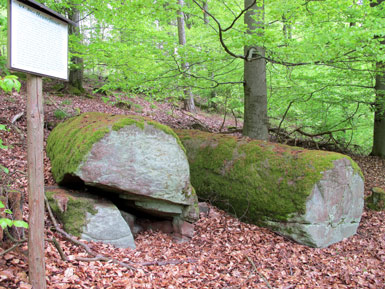 Die 4 m langen Heunefsser (Sandsteinsulen) auf dem Brgstdter Berg. Die Steine wurde hier u.a. fr den Mainzer Dom gebrochen und roh bearbeitet.