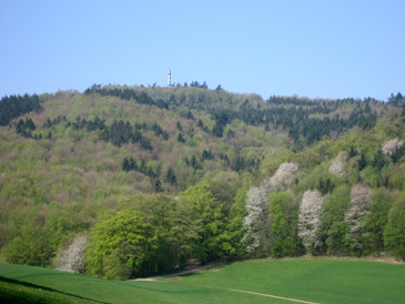 Nibelungensteig: Melibokus mit 517 m die hchste Erhebung des westlichen Odenwaldes. Auf alten Wanderkarten flschlich auch mit Malchen bezeichnet.