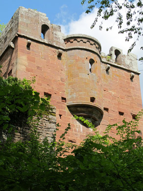 Nach der Zerstörung der Wildenberg 1525 im Bauernkrieg wurde die Burg nicht wieder aufgebaut.