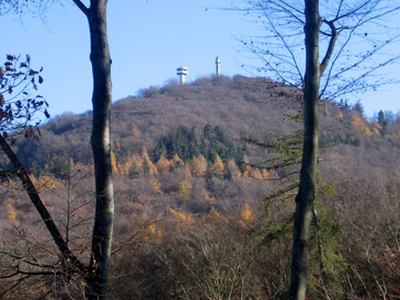 Gleich zu Beginn des Nibelungensteiges muss man von Zwingenberg 400 Hhenmeter zum Melibokus 517 m (Odenwald) berwinden
