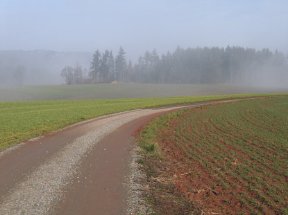 Odenwald-Wanderung:  Wanderweg von Waldmichelbach auf die "Tromm", dem fnfthchsten Berg (577 m) des Odenwaldes