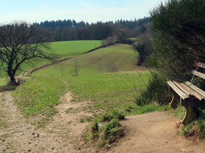 Rastplatz an der Kreuzung nach Schannenbach