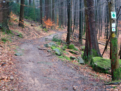 Aufatieg von Riembach zur Tromm und dem Trommturm / Himmelsleiter
