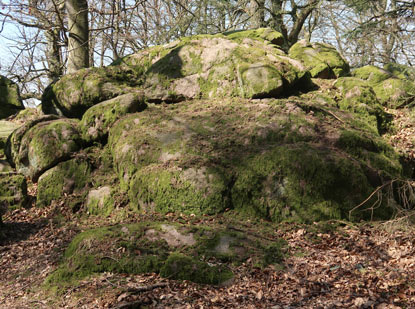 Abbruchkante des Trimmhhenzugs am Naturdenkmal Lindenstein