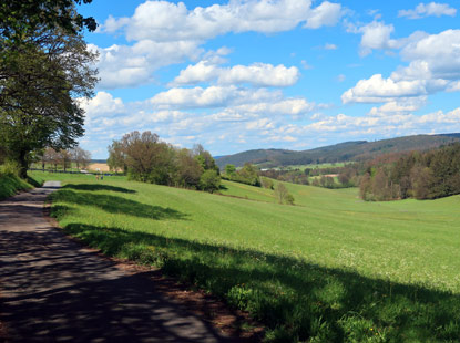 Wanderweg durch den Schlinggrund bei Beerfelden