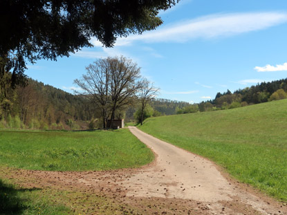 Schllenbachtal nach dem Krhbergtunnel