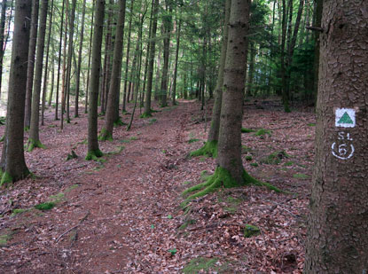 Aufstrig von Ernsttal auf das Plateau von Mrschenhardt