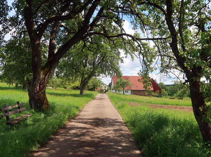 Ortsrand von Donebach