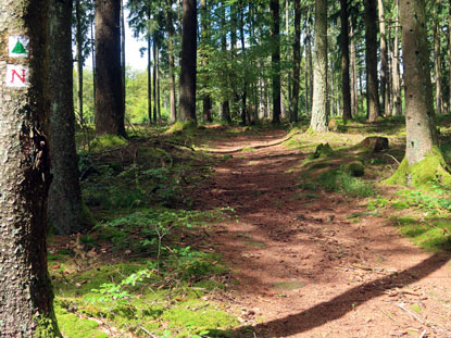 Wanderweg an der Hohen Langhalde bei Hesselbach (Oberzent)