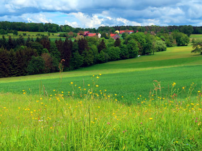 Blick auf Mrschenhardt im Odenwald