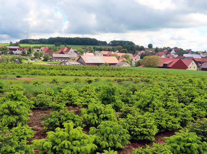 Steinbach, ein Ortsteil von Mudau, ist berhmt wegen seiner St. Martins Kapelle