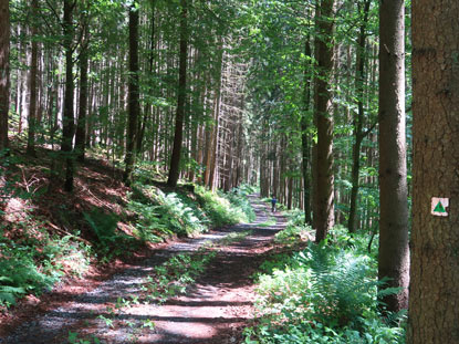 Wanderweg zur Neudorfer Mhle oberhalb vom Steinbchle 