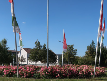 Kreisel vor dem Bahnhof Walld�rn