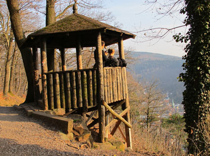 Burgensteig Odenwald: 180 m ber dem Neckar befindet sich der Aussichtspunkt "Fuchsrondell"