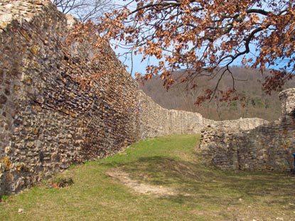 Die Schauenburg  wurde Mitte des 12 Jh. gebaut. Aber bereits 300 Jahre spter in einem Konflikt zwischen Kurmainz und der Kurpfalz zerstrt.