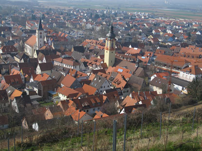 Burgensteig Odenwakld: Blick von der Terasse der Strahlenburg auf Schriesheim