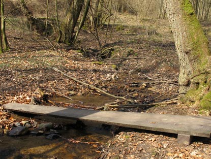 Burgensteig Bergstrae:  Der Weittalbach fliet entlang des Weittals 