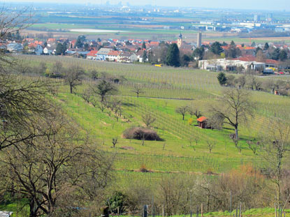 Blick zurck auf Grosachsen (Hirschberg)