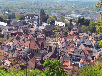 Bltenweg Odenwald: Blick von der Burgruine Windeck auf  Weinheim