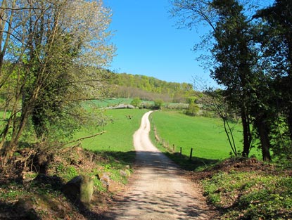 Der Burgensteig Bergstrae oberhalb von Hemsbach