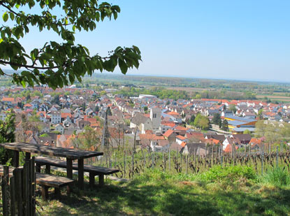 Wandern Burgensteig Bergstrae: Ansicht des Weinortes Laudenbach.