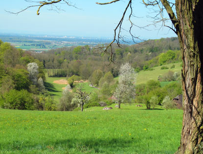 Burgensteig Odenwald: Blick vom Waldnerturm in die Rheinebene