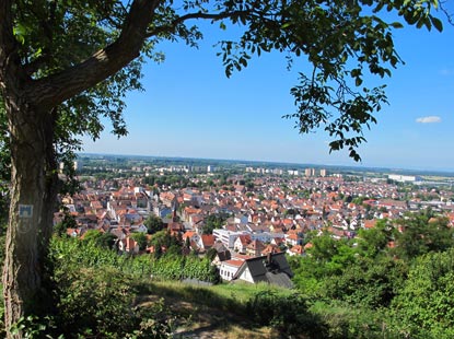 Burgensteig Bergstrae Wanderung: Aufstieg auf den Schlossberg - Blick zurck auf Heppenheim