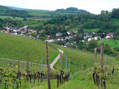Blick vom Hohberg auf Bensheim-Zell