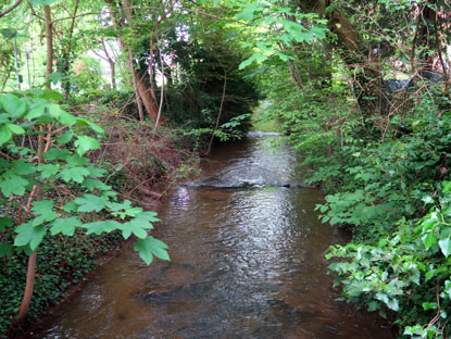 Fluss Lauter im Odenwald