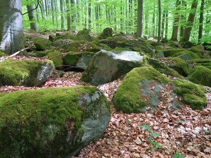 Findlinge untrhalb des Krehbergs im Odenwald
