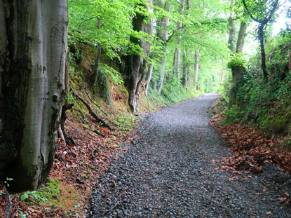 Steiniger Weg bei Bensheim-Zell