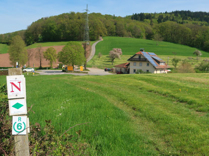 Das Gumpener Kreuz im Odenwald