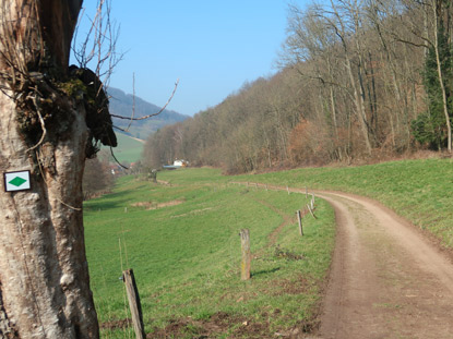 Ostertal - Wanderweg mit der grnen Raute