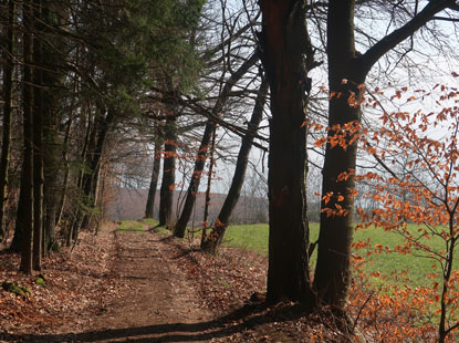 Unterhalb vom Berg Stotz im Odenwald erreicht man das Ostertal