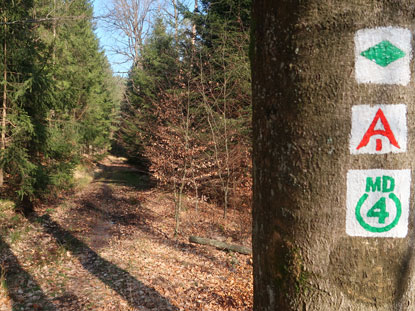 Abstieg vom Lrmfeuer in Richtung Ober-Mossau