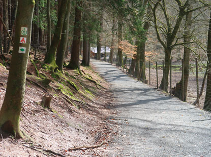 Wanderweg im Brudergrund bei Erbach entlang dem Wildpark