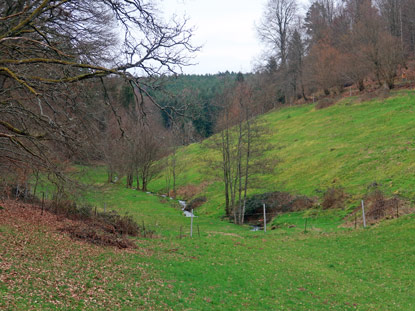 Das Dreiseetal bei dem Dorf Erbach gilt als das schnste Tal im Odenwald