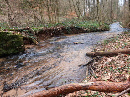 Der Erdbach im Dreiseetal im Odenwald