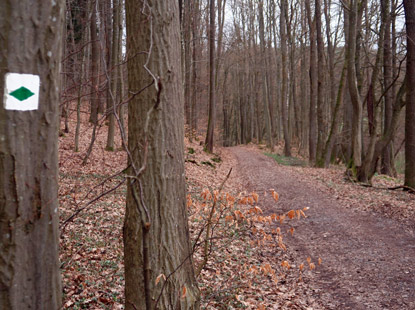 Odenwald Wanderung Bensheim nach Walldrn: Wanderweg vor Ernsbach