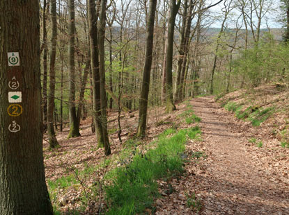 Albertsteige in Amornach im bayrischen Odenwald