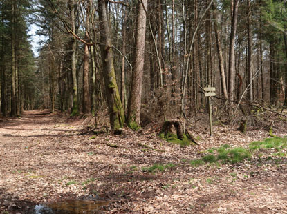 Landesgrenze Bayeern zu Baden Wrttemberg
