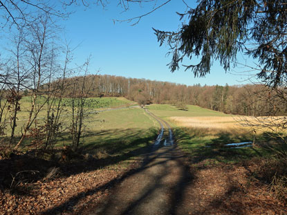 Wanderweg durch den Odenwald von Rohrbach nach Brandau bei Ernsthofen